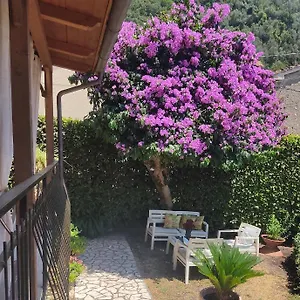 Apartment La Bouganville E Il Gelsomino